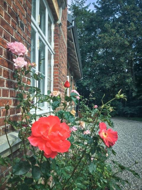 Rotzowlund Bnb Grenå エクステリア 写真