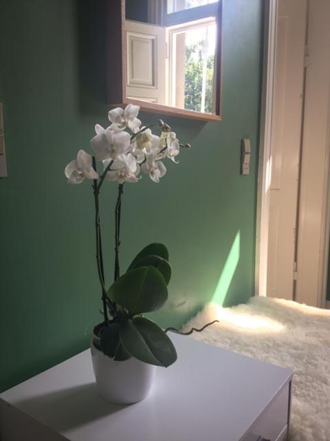 Rotzowlund Bnb Grenå エクステリア 写真